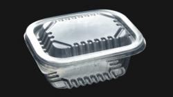 POTE PARA FREEZER E MICROONDAS 150G